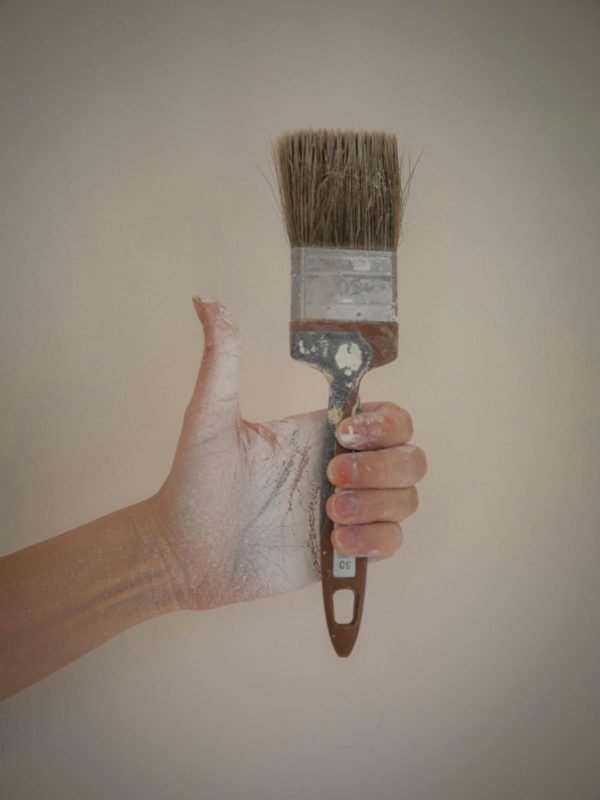 pexels-19x14-8481706